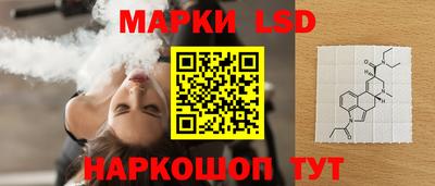шишки Будённовск