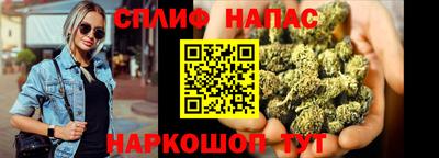 шишки Будённовск