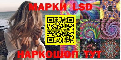 шишки Будённовск