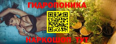 шишки Будённовск