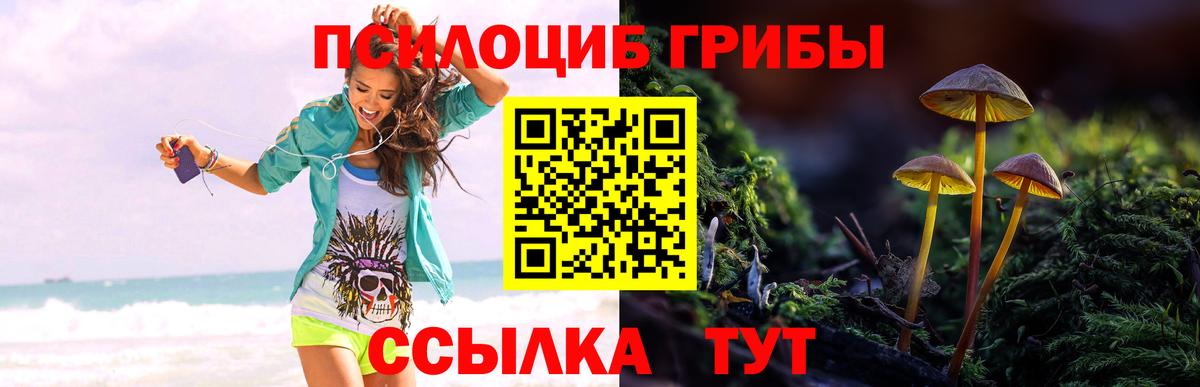 Галлюциногенные грибы MAGIC MUSHROOMS  Галлюциногенные грибы ЛСД  Горячий Ключ  Вход с VPN 
